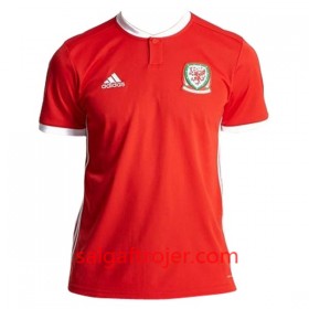 Wales Fodboldtrøjer Hjemmebanesæt 2018